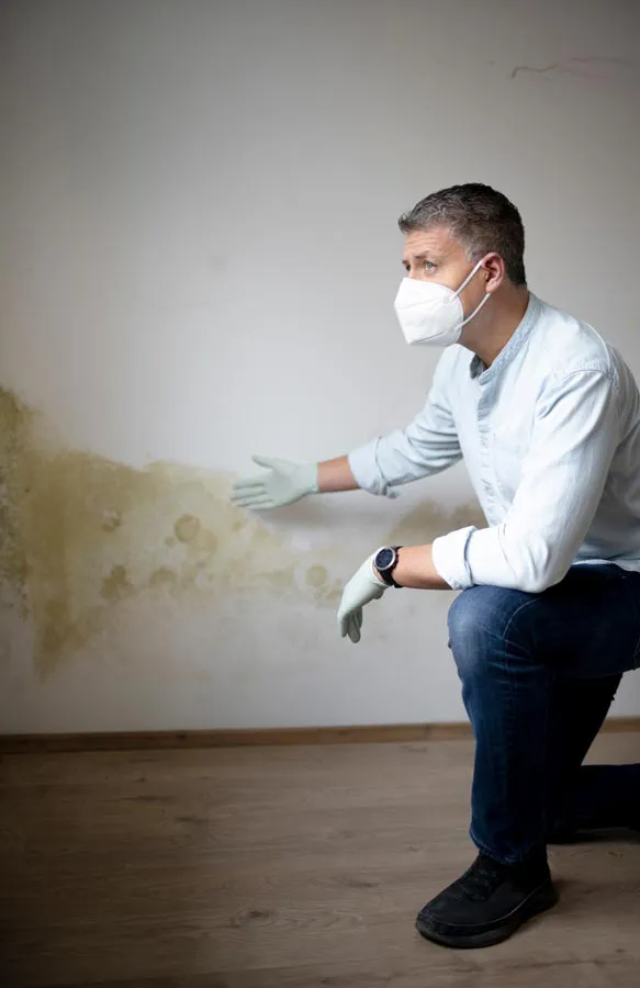 Mold-and-Mycotoxin-Treatment A building professional in a protective mask points out mold damage on a wall. Get treatment for mold and mycotoxin illness from Dr. Noelani Rodriguez in San Diego.